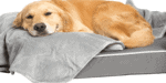 Best Blanket for Dog Hair