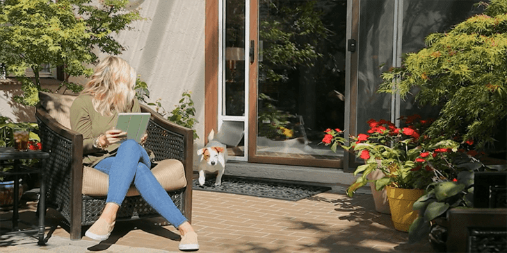 Best Cold Weather Dog Door