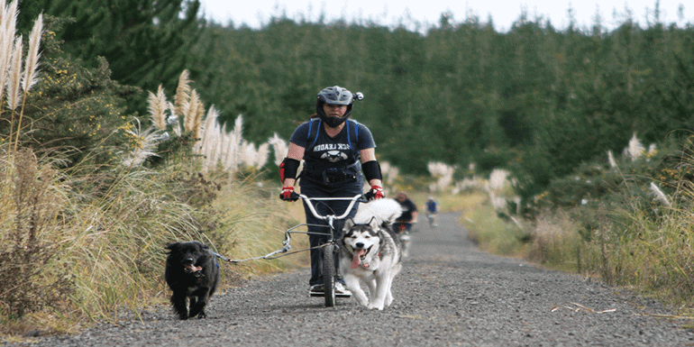 Best Dog Repellent for Cyclists
