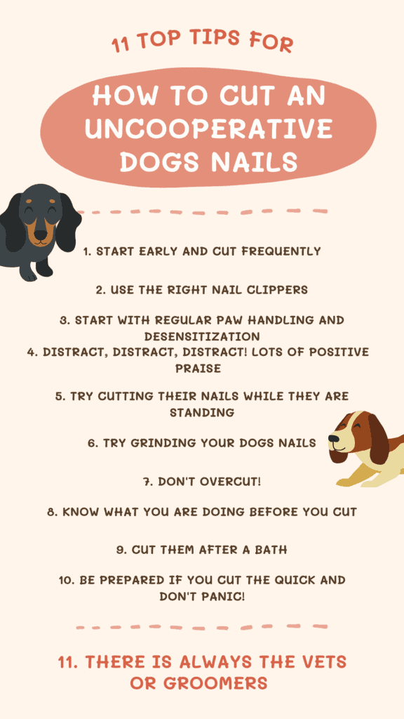 11 tips to how to cut uncooperative dogs nails infographic