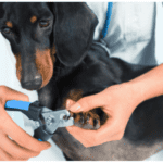 try standing the dog up to trim its nails