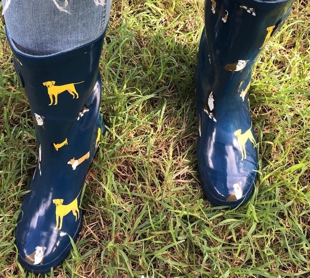 The 7 Best Researched Shoes For Dog Groomers (updated 2023) AnimKy