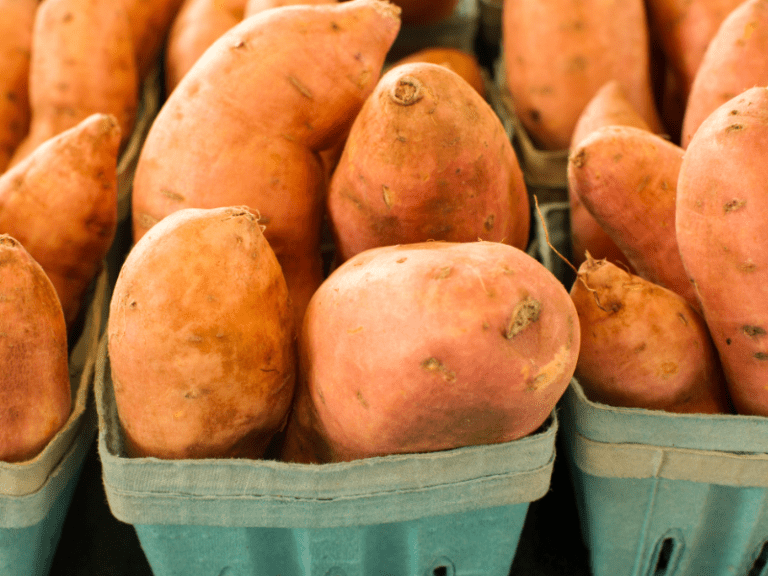 Can Guinea Pigs Eat Sweet Potato? AnimKy