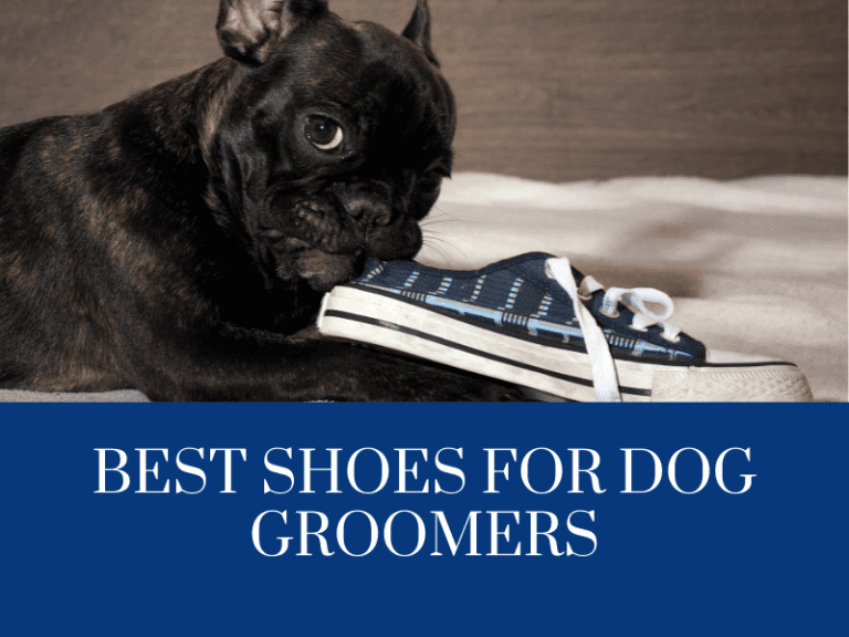 best shoes for dog groomers